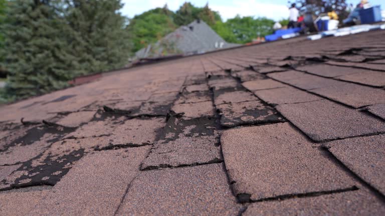 Best Cold Roofs  in Great Falls, SC